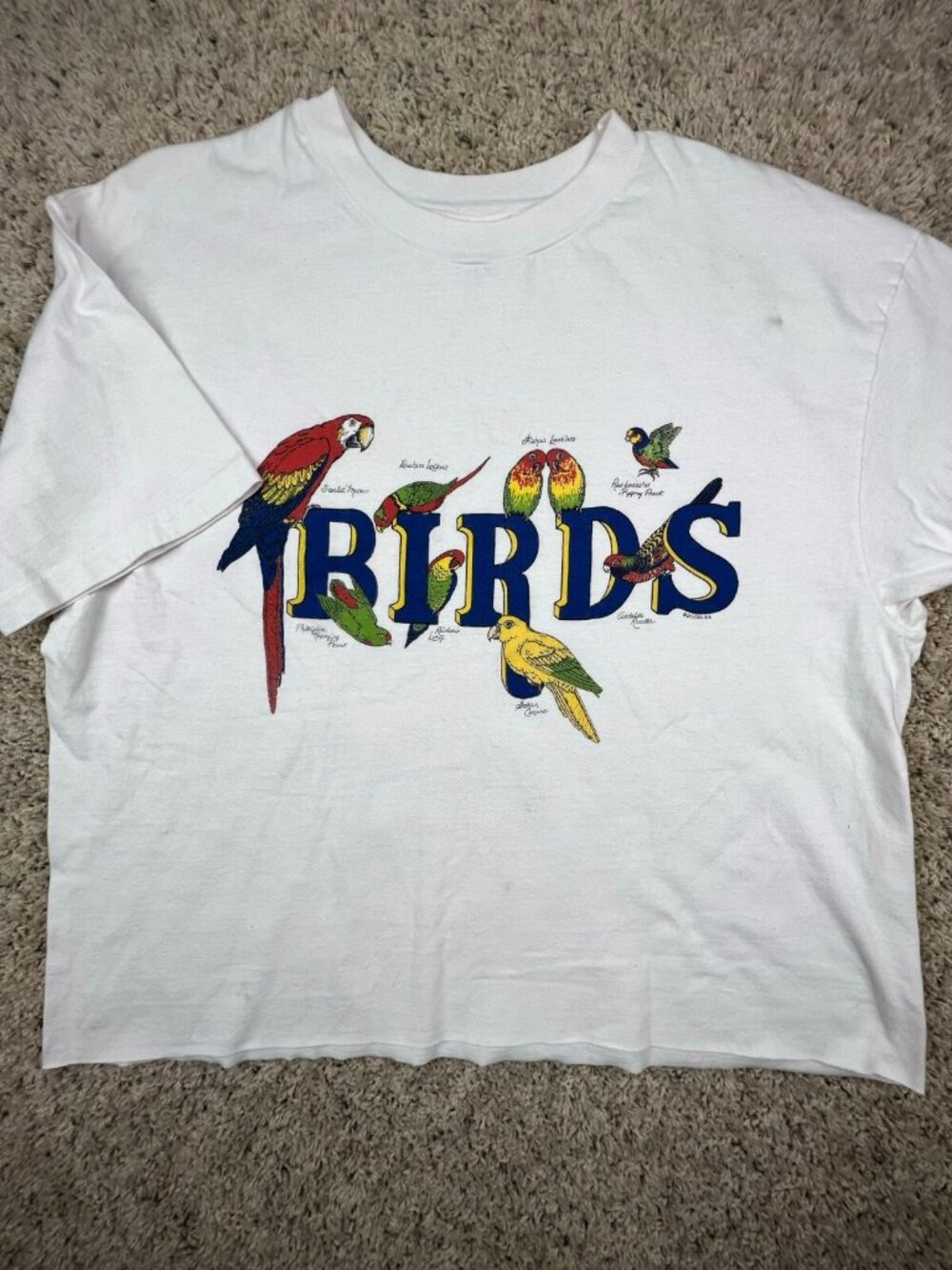 Exotic Birds CROP TOP T Shirt Macaw Lovebirds Parrot White Hanes Beefy T Size XL